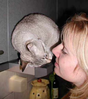 A kiss from Donna means she nibbles your nose