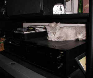 Donna on the radio receiver, nice and warm